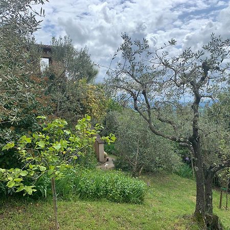 Podere Casallorto Вольтерра Экстерьер фото